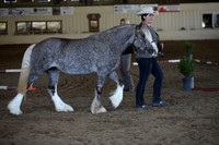 MLMH_2018_1322