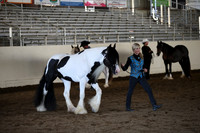 MLMH_2018_1323