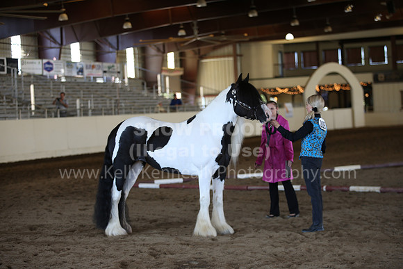 MLMH_2018_1325