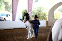 MLMH_2018_1383