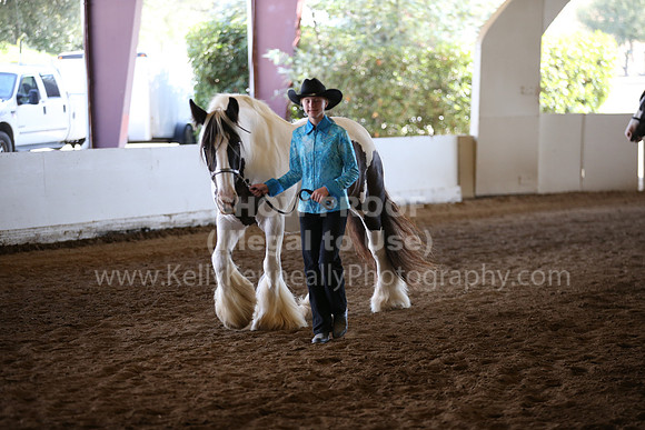 MLMH_2018_1380