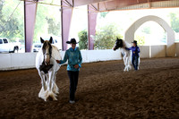 MLMH_2018_1382
