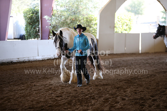 MLMH_2018_1379