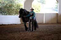 MLMH_2018_1386