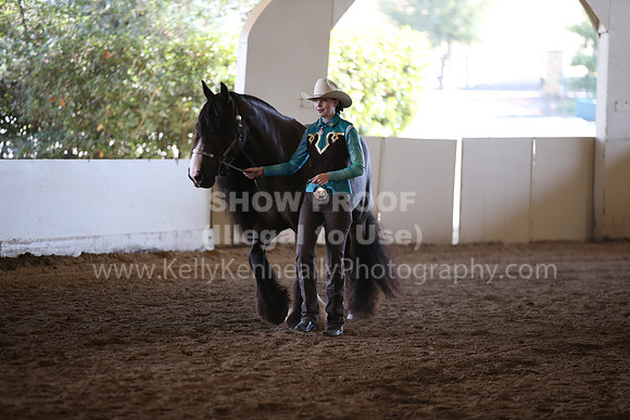 MLMH_2018_1386