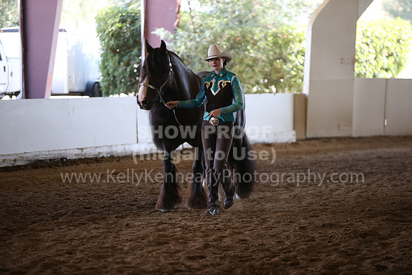 MLMH_2018_1387