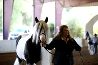 MLMH_2018_1393