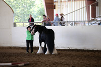 MLMH_2018_1397