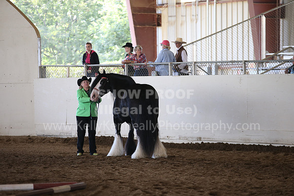 MLMH_2018_1397
