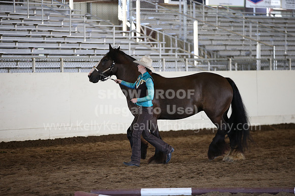 MLMH_2018_1404
