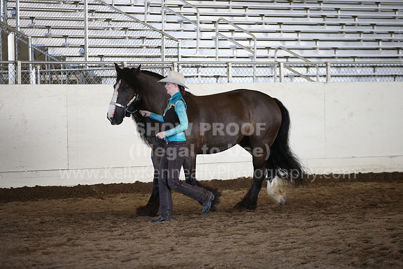 MLMH_2018_1405