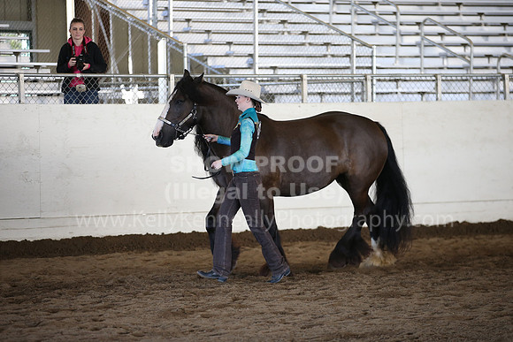 MLMH_2018_1406
