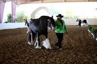MLMH_2018_1416