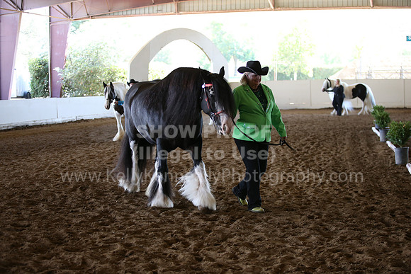 MLMH_2018_1416