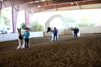 MLMH_2018_1417