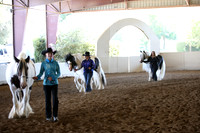 MLMH_2018_1419