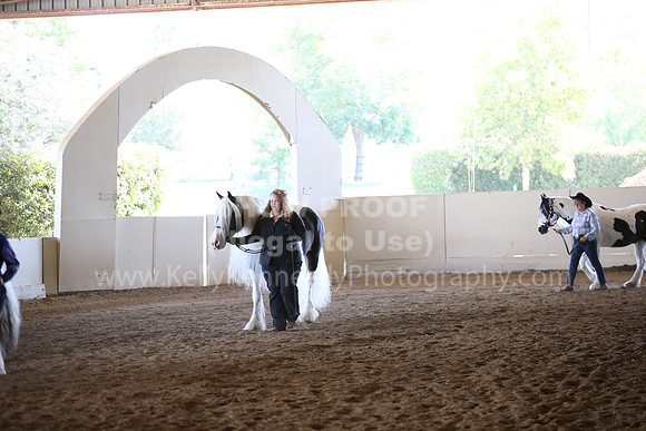 MLMH_2018_1420