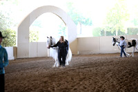 MLMH_2018_1421