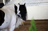MLMH_2018_1426