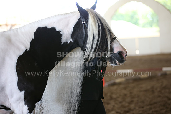 MLMH_2018_1427
