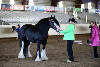 MLMH_2018_1432
