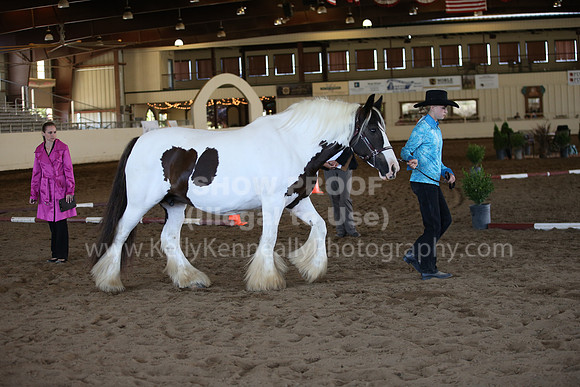 MLMH_2018_1450