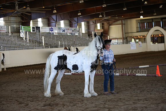 MLMH_2018_1472