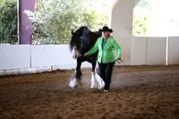 MLMH_2018_1528