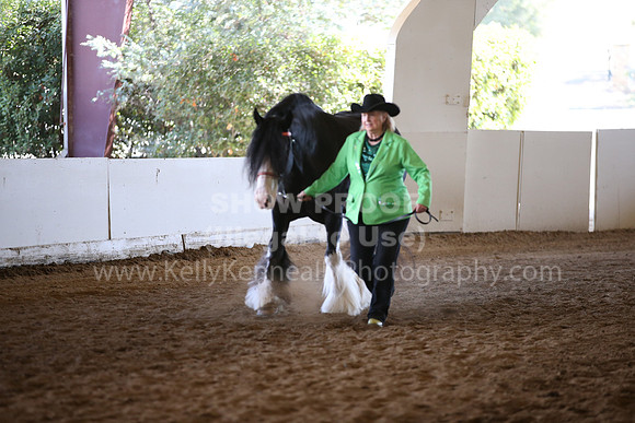 MLMH_2018_1528