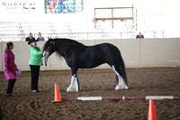 MLMH_2018_1527