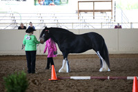 Class 69 Gypsy Mare Championship Class