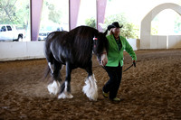 MLMH_2018_1531