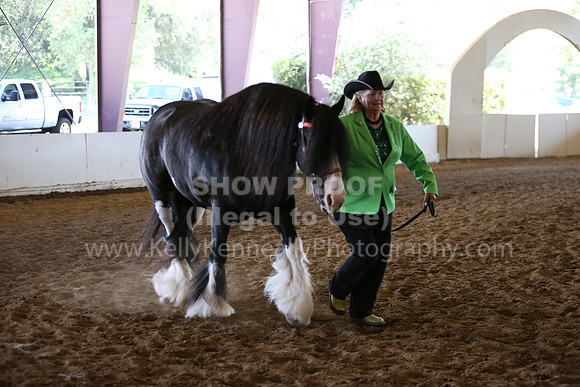 MLMH_2018_1531