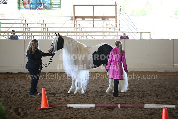 MLMH_2018_1532