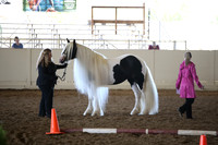 MLMH_2018_1533