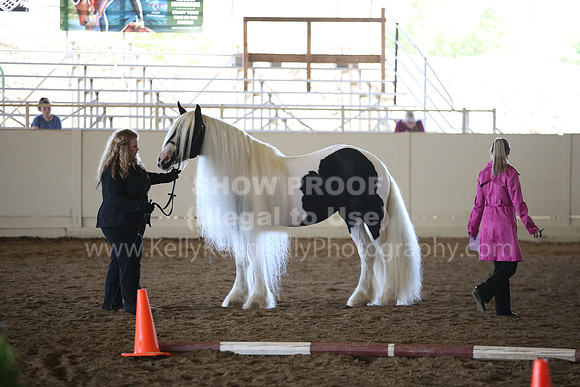MLMH_2018_1533