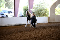 MLMH_2018_1535