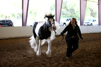 MLMH_2018_1538