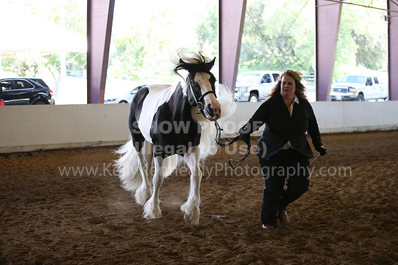 MLMH_2018_1538