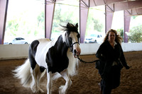 MLMH_2018_1539