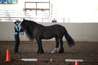 MLMH_2018_1540