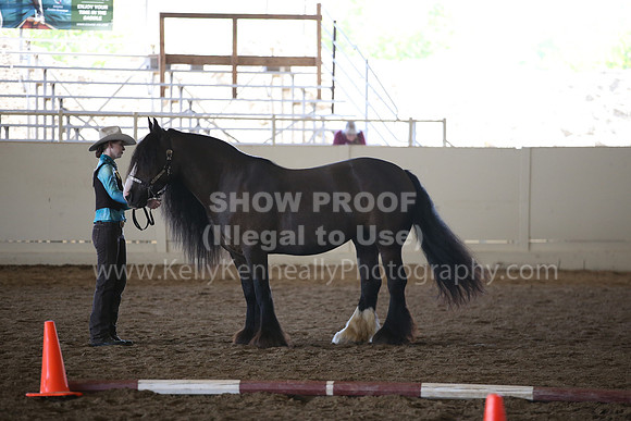 MLMH_2018_1540