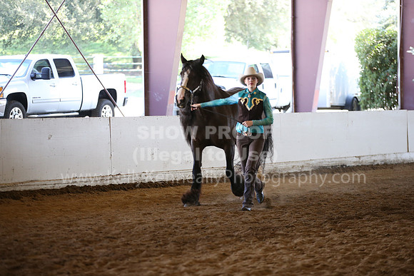 MLMH_2018_1542