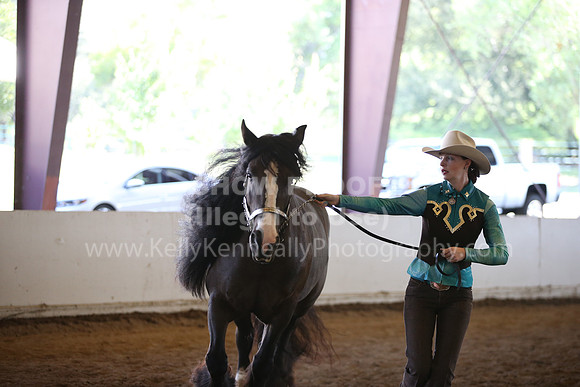 MLMH_2018_1545