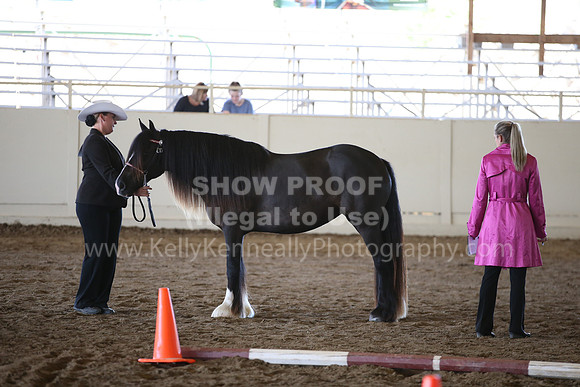 MLMH_2018_1550