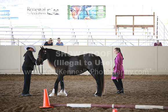 MLMH_2018_1551