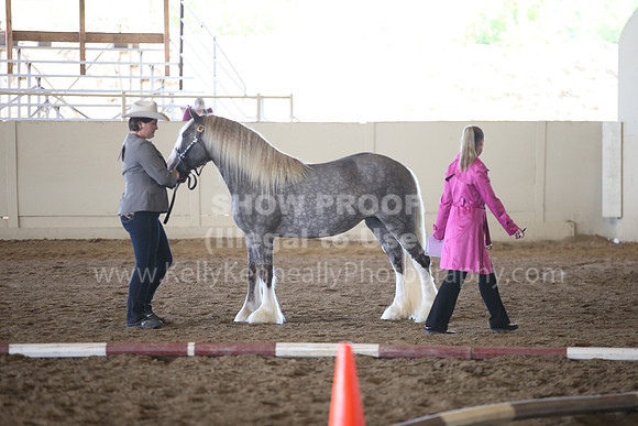 MLMH_2018_1555