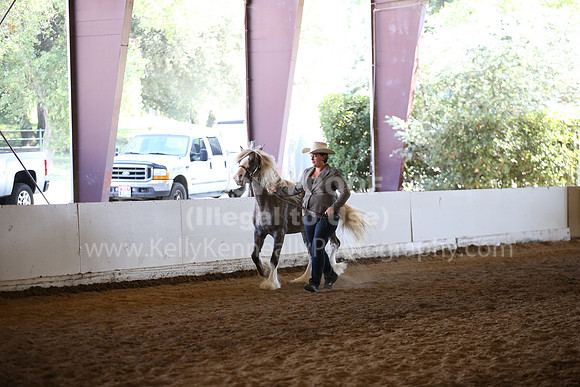 MLMH_2018_1558