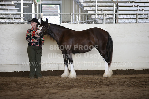 MLMH_2018_1573