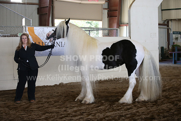 MLMH_2018_1580